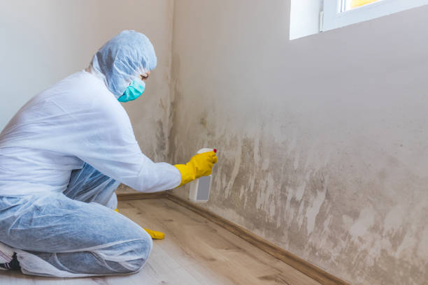 Crawl Space Mold Remediation treatment of floor joists in Grantville