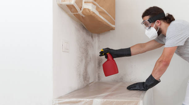 Attic Mold Remediation treatment on roof deck in Grantville